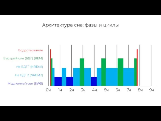 0ч 1ч 2ч 3ч 4ч 5ч 6ч 7ч 8ч 9ч Бодрствование Быстрый