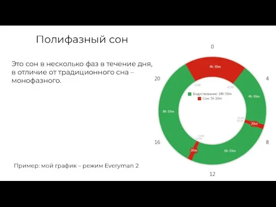 Полифазный сон Это сон в несколько фаз в течение дня, в отличие