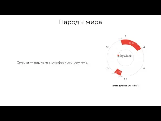 Народы мира Сиеста ― вариант полифазного режима. Siesta (6 hrs 30 mins)