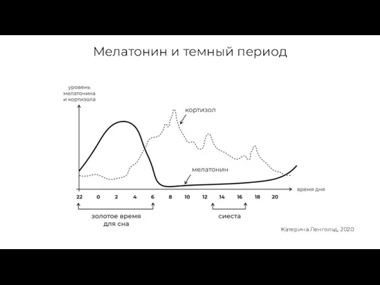 Мелатонин и темный период Катерина Ленгольд, 2020