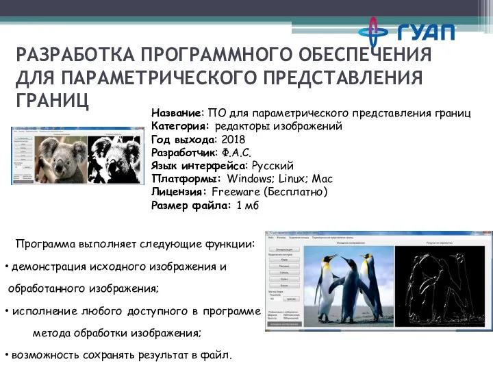 РАЗРАБОТКА ПРОГРАММНОГО ОБЕСПЕЧЕНИЯ ДЛЯ ПАРАМЕТРИЧЕСКОГО ПРЕДСТАВЛЕНИЯ ГРАНИЦ Название: ПО для параметрического представления