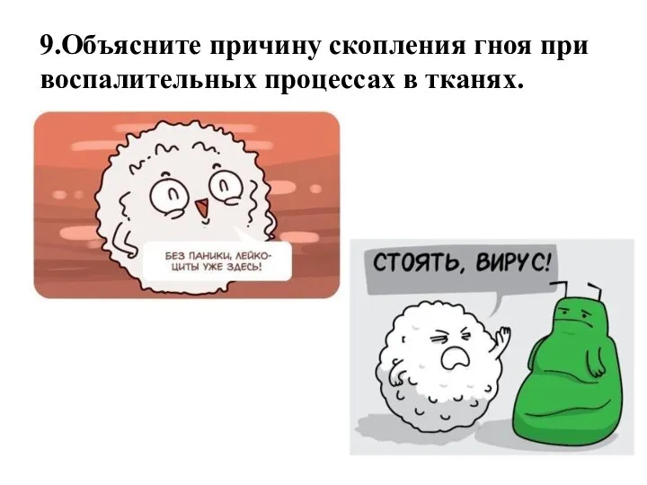 9.Объясните причину скопления гноя при воспалительных процессах в тканях.