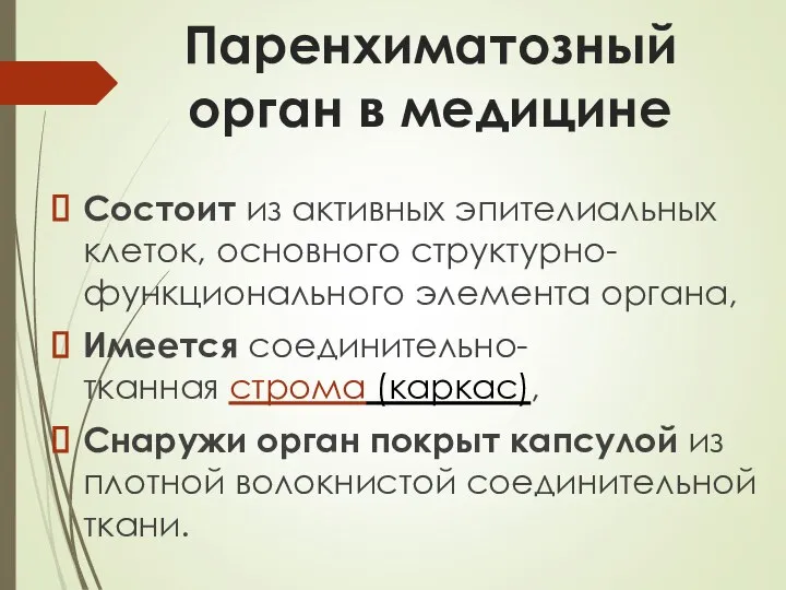 Паренхиматозный орган в медицине Состоит из активных эпителиальных клеток, основного структурно-функционального элемента