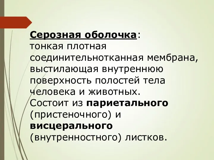 Серозная оболочка: тонкая плотная соединительнотканная мембрана, выстилающая внутреннюю поверхность полостей тела человека