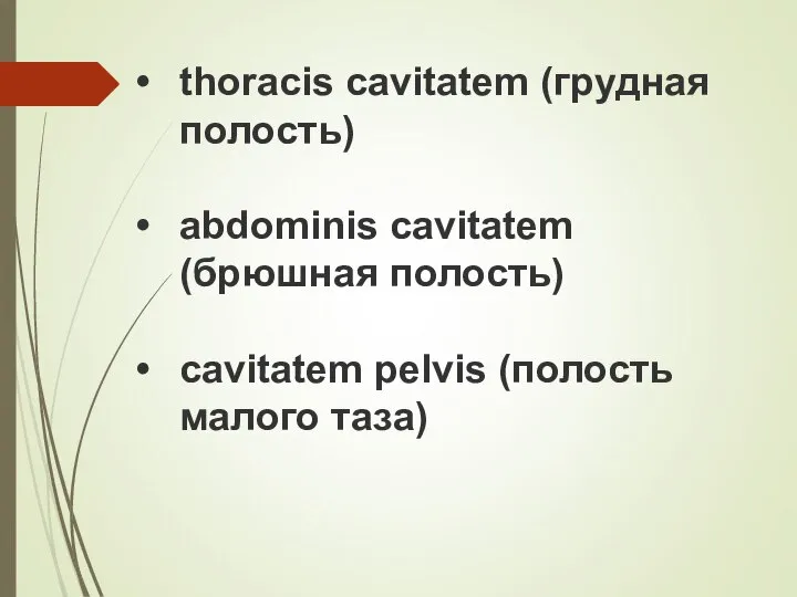 thoracis cavitatem (грудная полость) abdominis cavitatem (брюшная полость) cavitatem pelvis (полость малого таза)