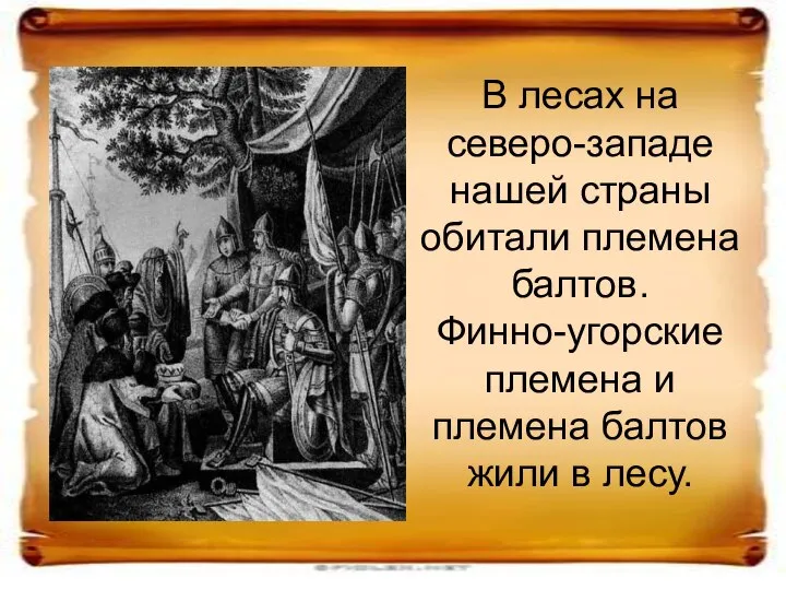 В лесах на северо-западе нашей страны обитали племена балтов. Финно-угорские племена и