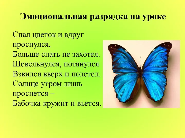 Эмоциональная разрядка на уроке Спал цветок и вдруг проснулся, Больше спать не