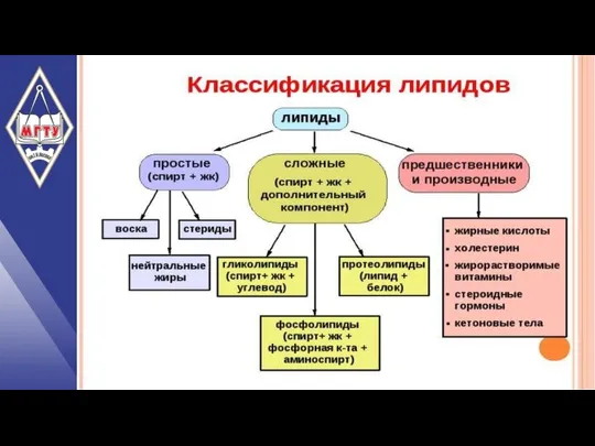 НАЗВАНИЕ ПРЕЗЕНТАЦИИ