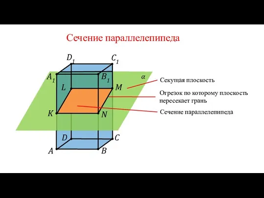 Сечение параллелепипеда A B C D B1 C1 D1 A1 M N