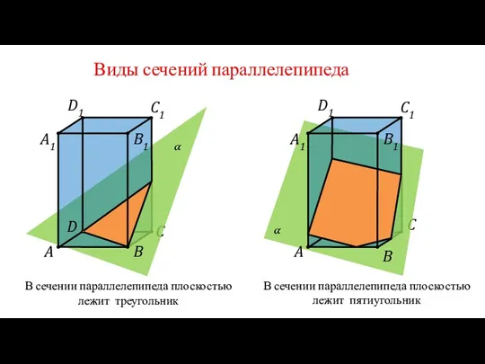 Виды сечений параллелепипеда A C D B1 C1 D1 A1 B В