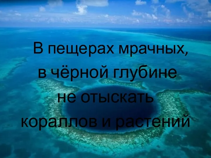 В пещерах мрачных, в чёрной глубине не отыскать кораллов и растений