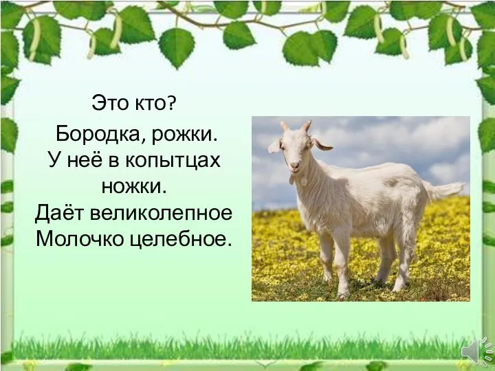 Это кто? Бородка, рожки. У неё в копытцах ножки. Даёт великолепное Молочко целебное.