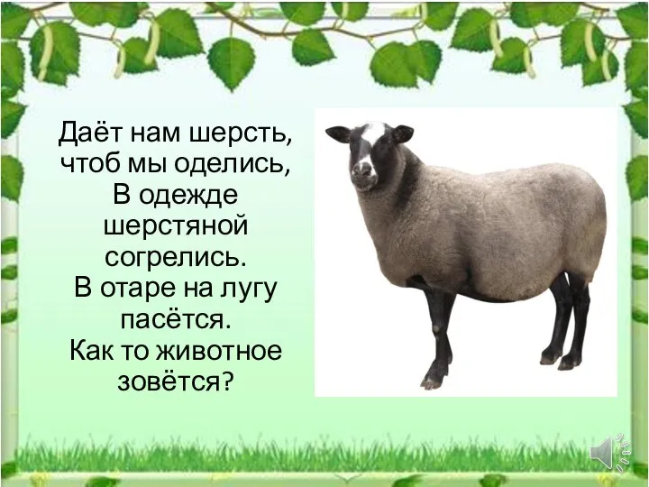 Даёт нам шерсть, чтоб мы оделись, В одежде шерстяной согрелись. В отаре