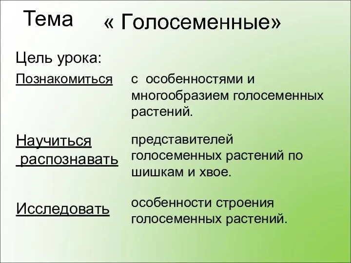 Тема Исследовать Цель урока: Познакомиться с особенностями и многообразием голосеменных растений. Научиться