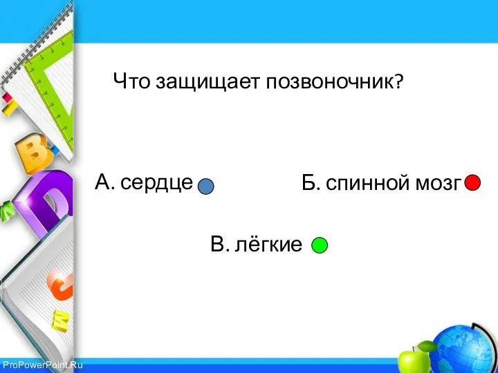 А. сердце В. лёгкие Б. спинной мозг Что защищает позвоночник?