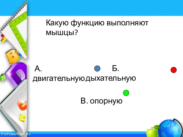 Б. дыхательную В. опорную Какую функцию выполняют мышцы? А. двигательную