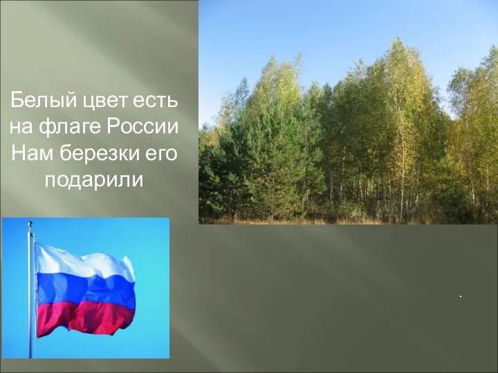 Белый цвет есть на флаге России Нам березки его подарили .