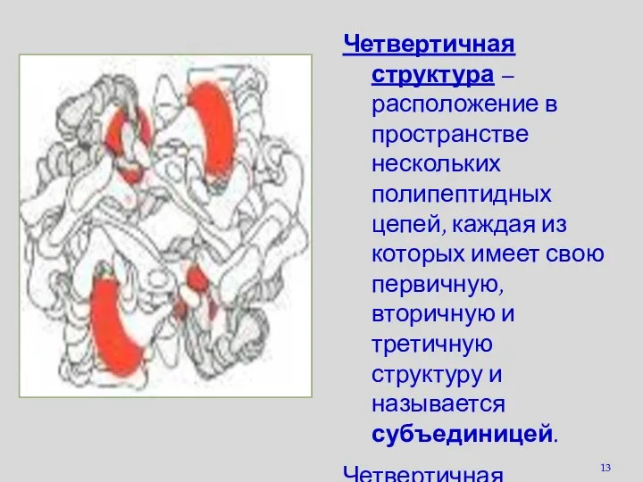 Четвертичная структура – расположение в пространстве нескольких полипептидных цепей, каждая из которых