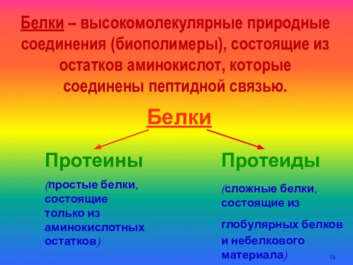 Белки – высокомолекулярные природные соединения (биополимеры), состоящие из остатков аминокислот, которые соединены