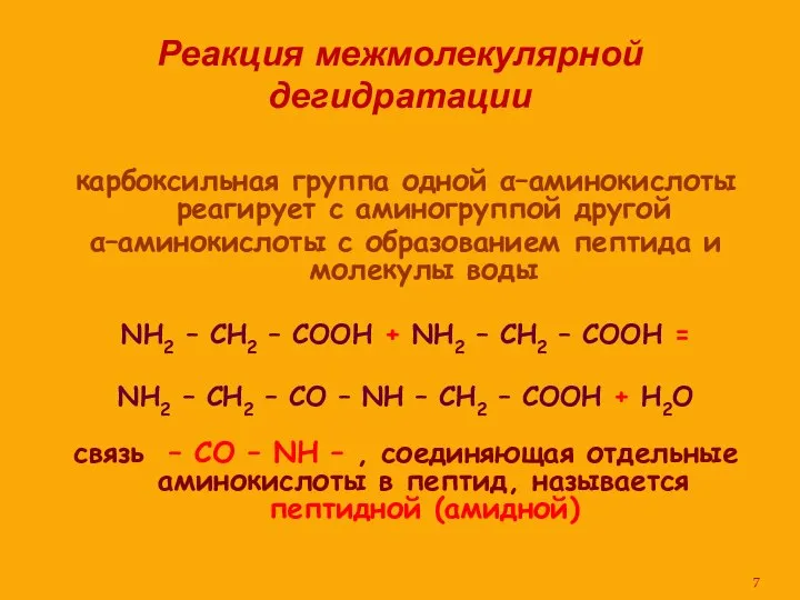 Реакция межмолекулярной дегидратации карбоксильная группа одной α–аминокислоты реагирует с аминогруппой другой α–аминокислоты