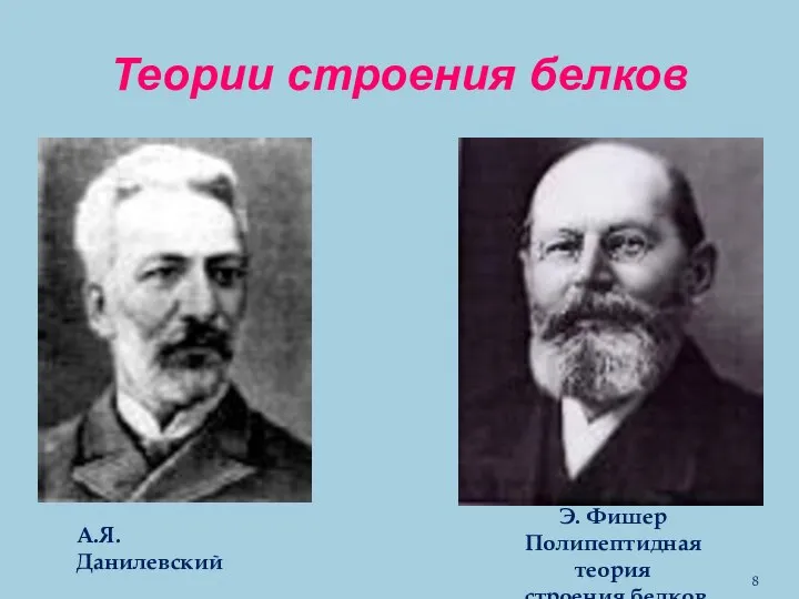 Теории строения белков А.Я. Данилевский Э. Фишер Полипептидная теория строения белков