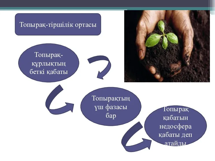 Топырақ-тіршілік ортасы Топырақ-құрлықтың беткі қабаты Топырақтың үш фазасы бар Топырақ қабатын недосфера қабаты деп атайды