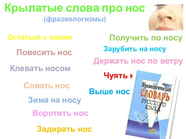 Остаться с носом Повесить нос Клевать носом Зима на носу Воротить нос