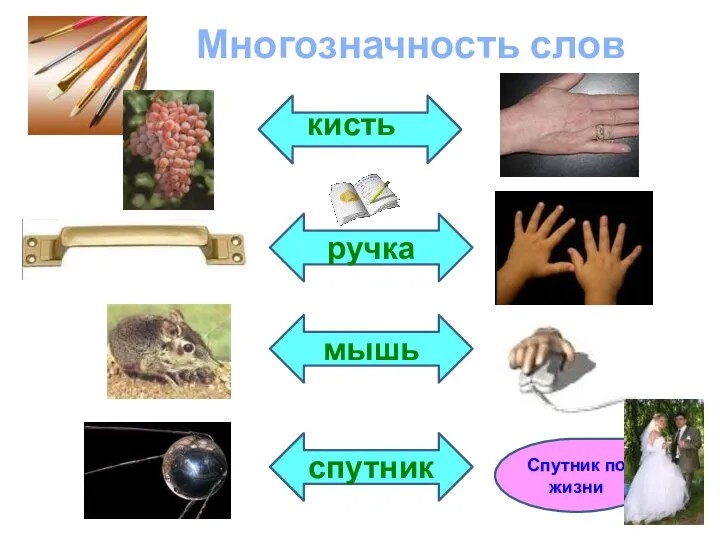 спутник мышь кисть Многозначность слов ручка Спутник по жизни