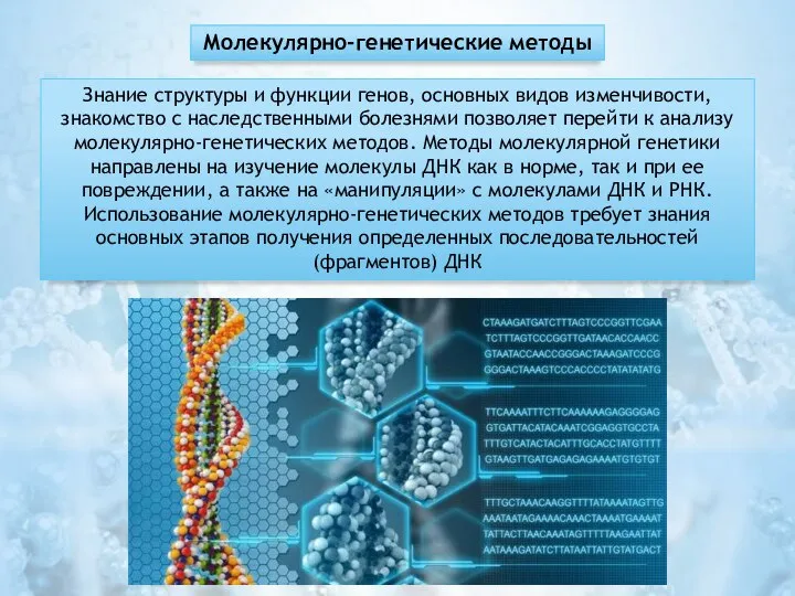 Молекулярно-генетические методы Знание структуры и функции генов, основных видов изменчивости, знакомство с