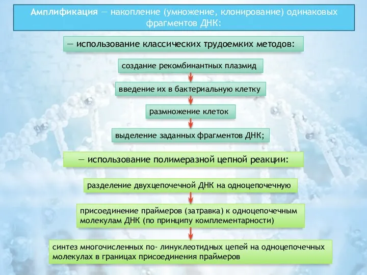 Амплификация — накопление (умножение, клонирование) одинаковых фрагментов ДНК: — использование классических трудоемких