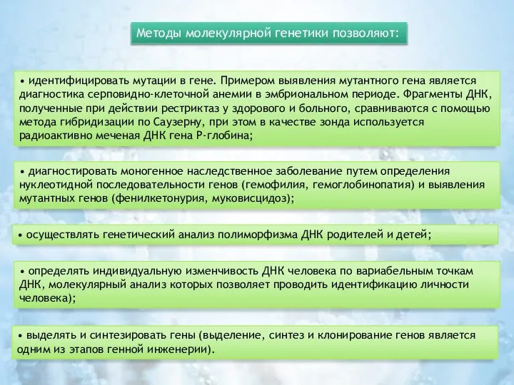 Методы молекулярной генетики позволяют: • идентифицировать мутации в гене. Примером выявления мутантного