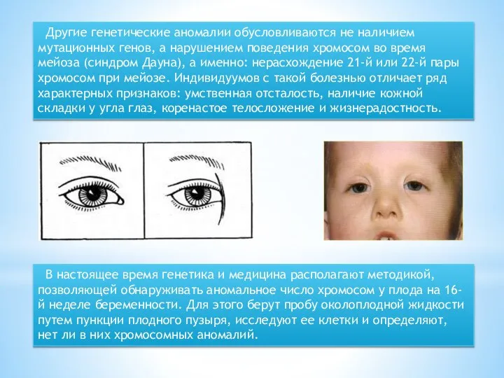 Другие генетические аномалии обусловливаются не наличием мутационных генов, а нарушением поведения хромосом