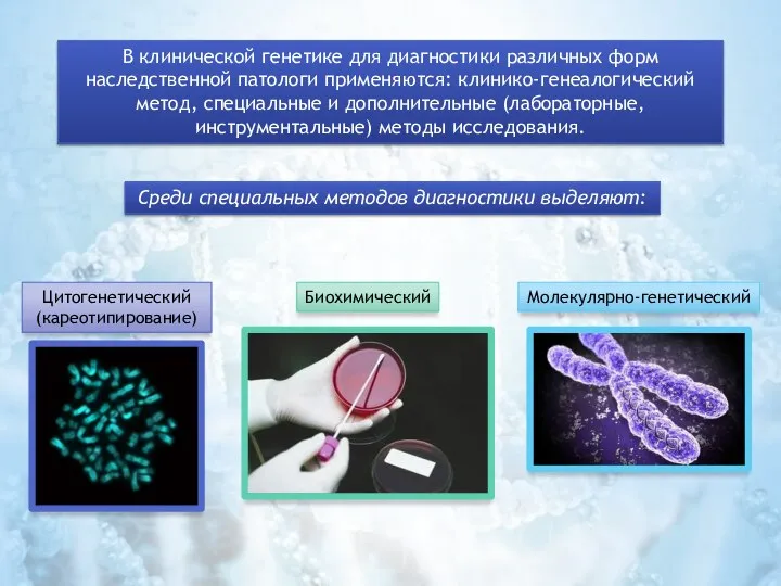 В клинической генетике для диагностики различных форм наследственной патологи применяются: клинико-генеалогический метод,