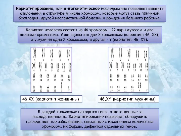 Кариотипирование, или цитогенетическое исследование позволяет выявить отклонения в структуре и числе хромосом,