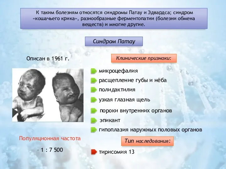 К таким болезням относятся синдромы Патау и Эдвардса; синдром «кошачьего крика», разнообразные