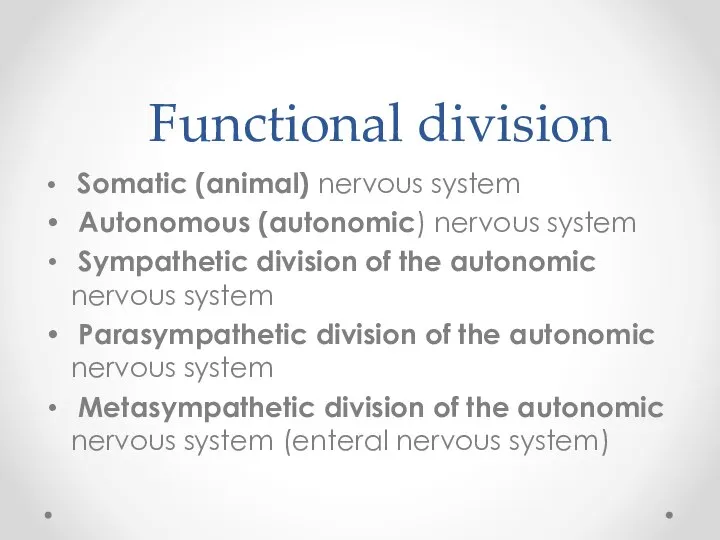 Functional division Somatic (animal) nervous system Autonomous (autonomic) nervous system Sympathetic division