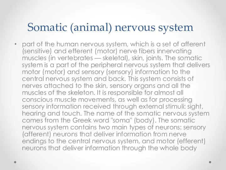 Somatic (animal) nervous system part of the human nervous system, which is