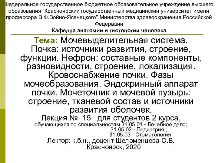 Тема: Мочевыделительная система. Почка: источники развития, строение, функции. Нефрон: составные компоненты, разновидности,