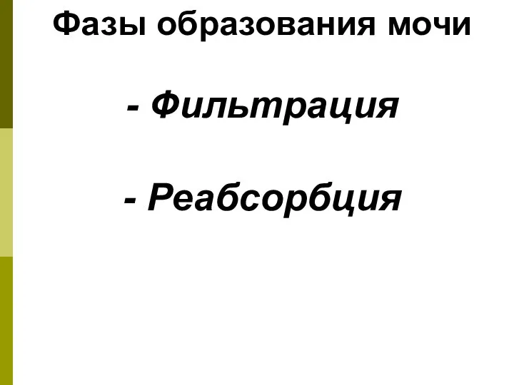 Фазы образования мочи - Фильтрация - Реабсорбция