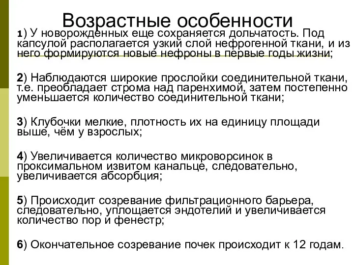 1) У новорожденных еще сохраняется дольчатость. Под капсулой располагается узкий слой нефрогенной