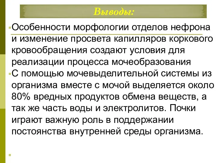 Выводы: Особенности морфологии отделов нефрона и изменение просвета капилляров коркового кровообращения создают