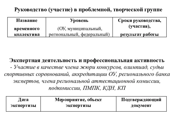 Руководство (участие) в проблемной, творческой группе Экспертная деятельность и профессиональная активность -