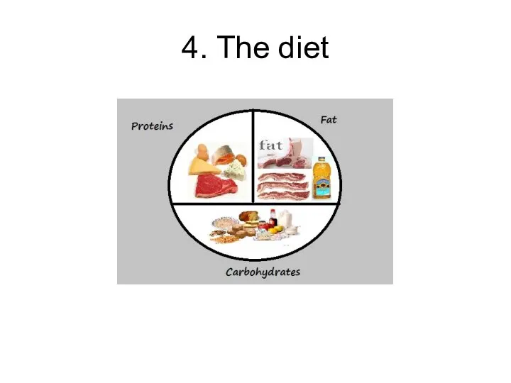 4. The diet