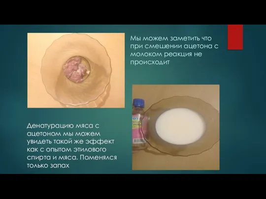 Денатурацию мяса с ацетоном мы можем увидеть такой же эффект как с