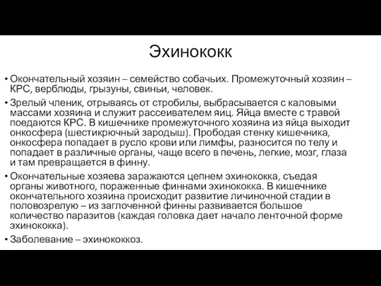 Эхинококк Окончательный хозяин – семейство собачьих. Промежуточный хозяин – КРС, верблюды, грызуны,