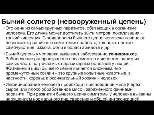 Бычий солитер (невооруженный цепень) Это один из самых крупных паразитов, обитающих в