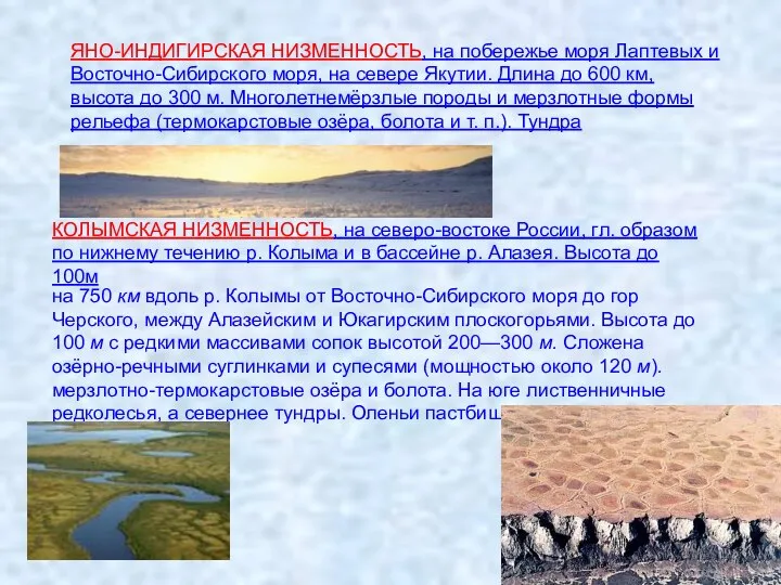 ЯНО-ИНДИГИРСКАЯ НИЗМЕННОСТЬ, на побережье моря Лаптевых и Восточно-Сибирского моря, на севере Якутии.