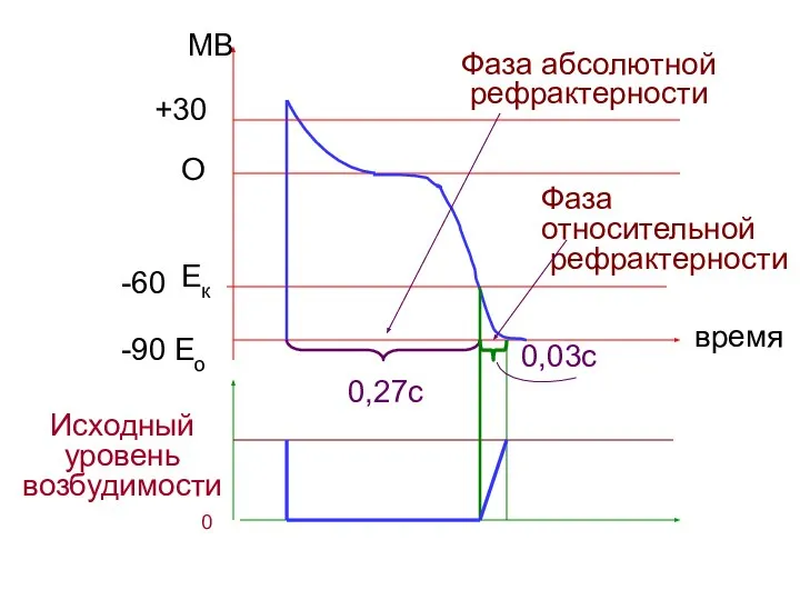 Eо -90 Ек -60 О МВ +30 время Исходный уровень возбудимости 0