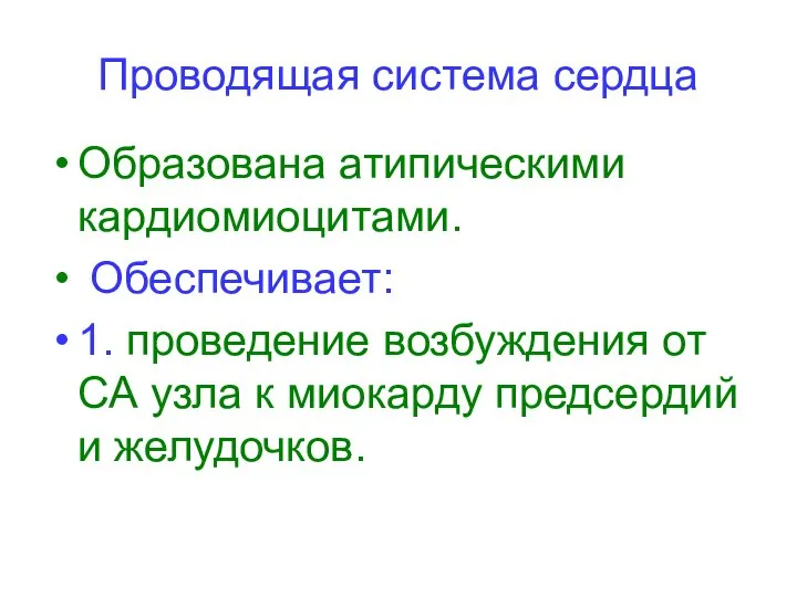 Проводящая система сердца Образована атипическими кардиомиоцитами. Обеспечивает: 1. проведение возбуждения от СА