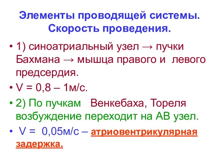 Элементы проводящей системы. Скорость проведения. 1) синоатриальный узел → пучки Бахмана →